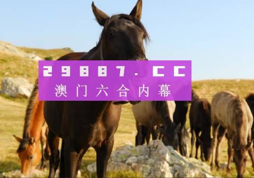 澳门管家婆-肖一码,数据解读说明_策略版72.702