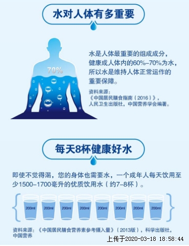 每日饮水八杯的科学依据与健康效益探讨