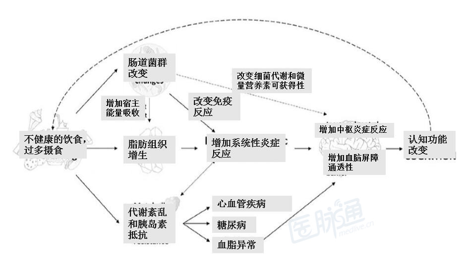 养生食谱，改善皮肤代谢的秘诀