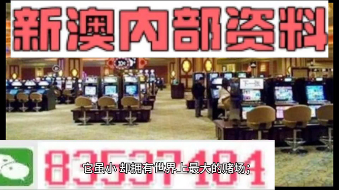 2024新澳免费资料,专业调查解析说明_DX版91.239