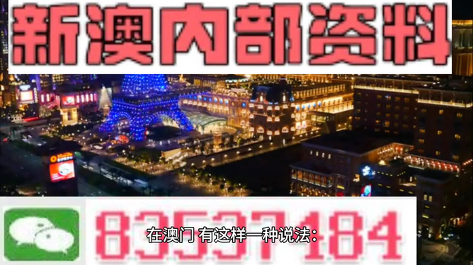 新澳最新最快资料,动态调整策略执行_XE版29.225