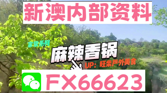 新澳精准资料免费提供,理论解答解析说明_UHD款75.593