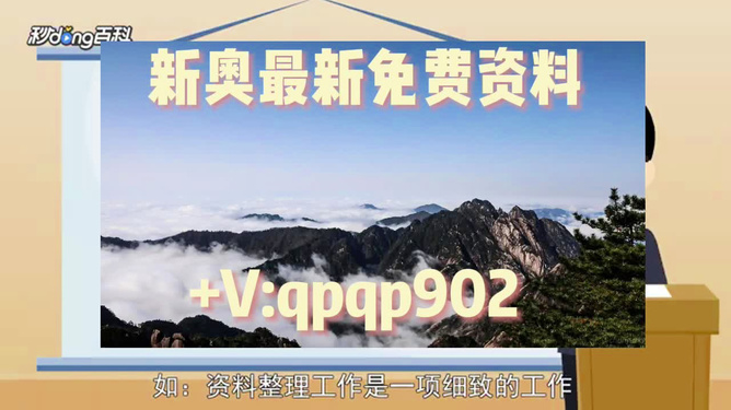 2024年正版资料免费大全挂牌,市场运营效率提升_定制版62.54.13