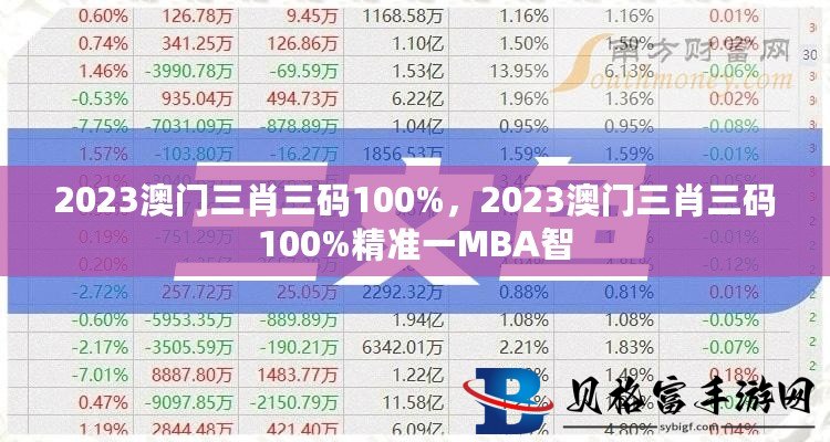 澳门三中三码精准100%,数据实践路径方案_飞跃版81.34.89