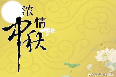 天天好采免费资料大全,项目效率管理_创新版19.80.22