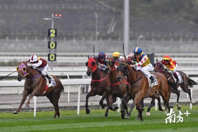 香港今晚开什么特马,智慧管理战略与客户体验提升分析